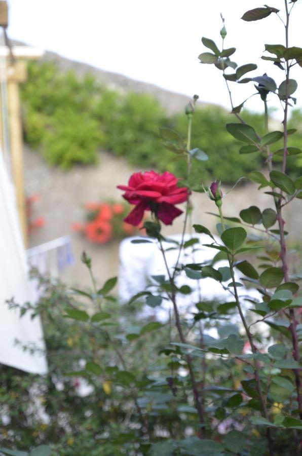 Le Clos Des Pommes Bioncourt Exteriér fotografie